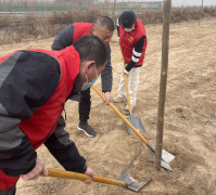 又是一年春光好，又到一年植樹時。3月15日上午，聊城市水利工程總公司到楷模大道廉堤開展義務植樹活動，以實際行動積極履行植樹造林義務，優化生態環境，打造綠色家園。 植樹現